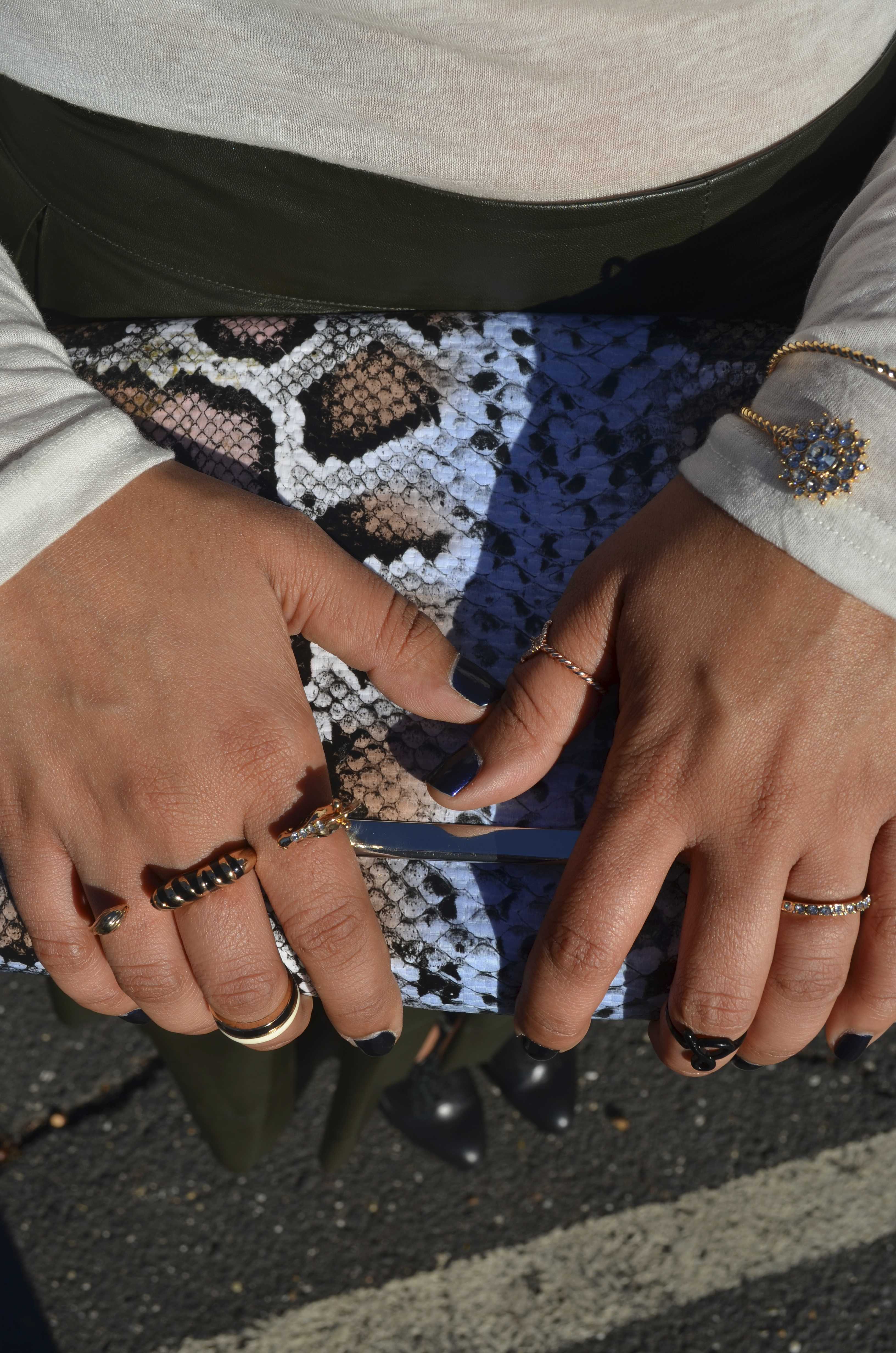Snakeskin Clutch