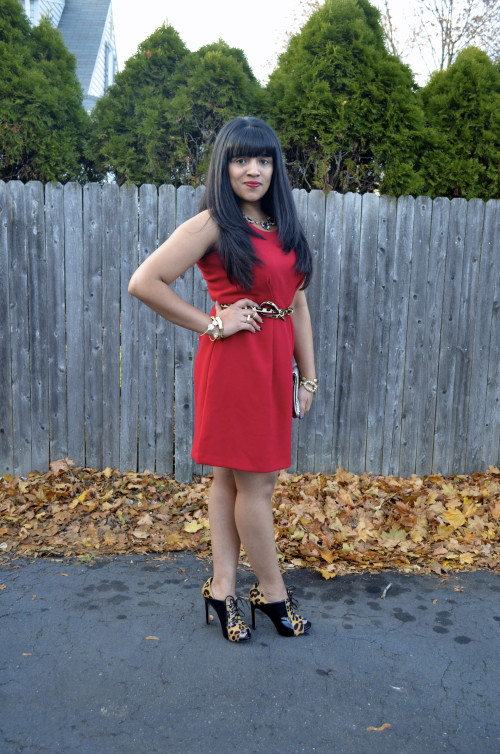 Loft Red Dress